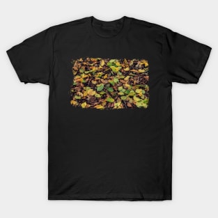 Autumn - colorful leaves T-Shirt